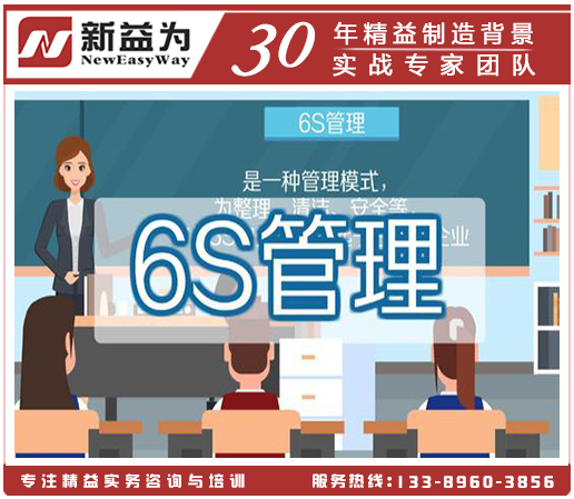 6S