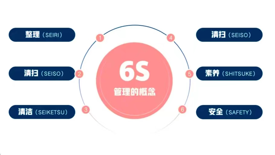 칫6S