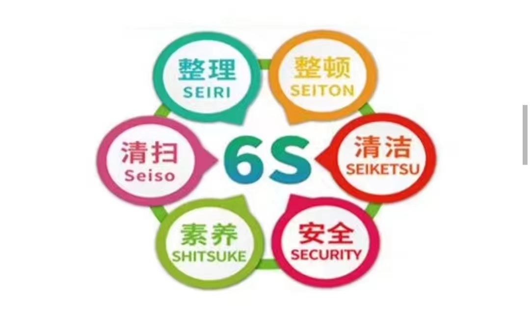 6S